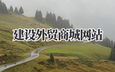 《建设外贸商城网站》:我的摸爬滚打实录插图 建设外贸商城网站