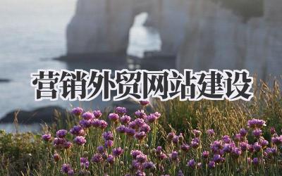 打造卓越的营销外贸网站建设之路:我的实战分享插图 营销外贸网站建设