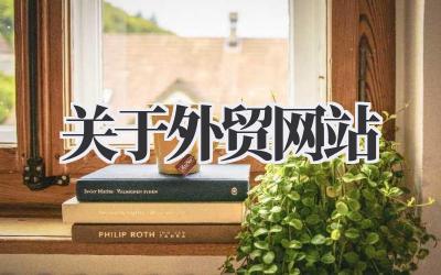 聊聊我眼中真正能打的《关于外贸网站》那些事儿插图 关于外贸网站