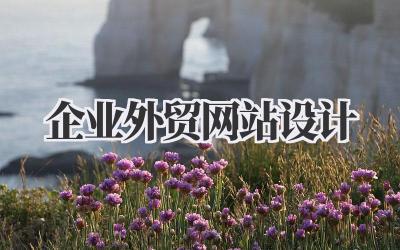 企业外贸网站设计:不止是门面,更是全球市场的敲门砖插图 企业外贸网站设计