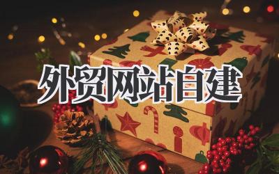 打造你的专属阵地:外贸网站自建完全指南插图 外贸网站自建