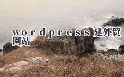 用WordPress建外贸网站,我的实战经验分享插图 wordpress建外贸网站