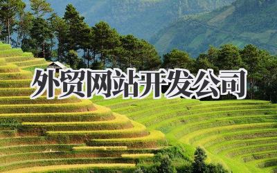 寻找更懂你的外贸网站开发公司插图 外贸网站开发公司