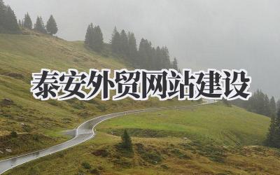 泰安外贸网站建设:我的实战经验分享插图 泰安外贸网站建设