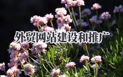 掘金海外:我的外贸网站建设和推广实战笔记插图 外贸网站建设和推广