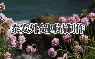 泰安外贸网站制作:从小白到精通的实用指南,不走弯路!插图 泰安外贸网站制作