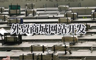 外贸商城网站开发