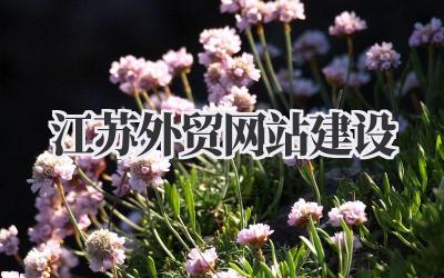 江苏外贸网站建设:助力企业扬帆出海的利器插图 江苏外贸网站建设