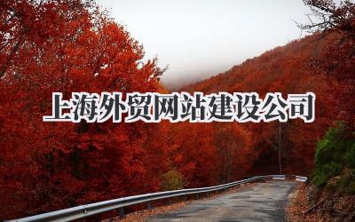 精选!上海外贸网站建设公司避坑指南,别再踩雷了!插图 上海外贸网站建设公司