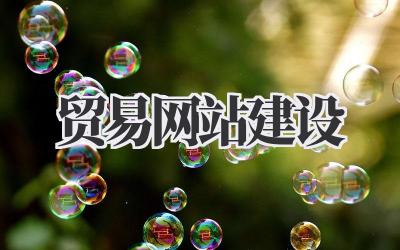 贸易网站建设