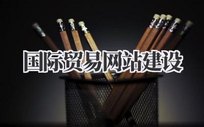 聊聊《国际贸易网站建设》这件大事儿插图 国际贸易网站建设
