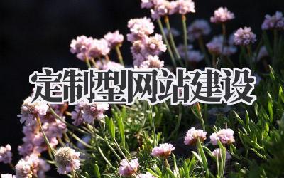 定制型网站建设
