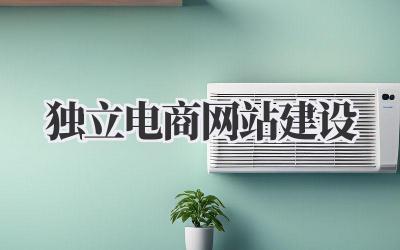 打造专属线上店铺:我的独立电商网站建设之路插图 独立电商网站建设