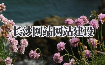 《长沙网站网站建设》插图 长沙网站网站建设