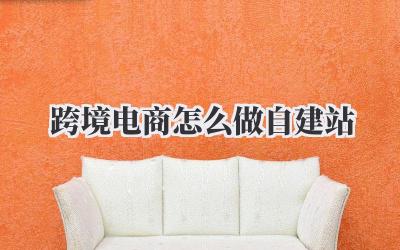 跨境电商怎么做自建站?新手卖家不可错过的自建站实战指南插图 跨境电商怎么做自建站