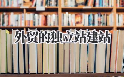 掘金外贸蓝海:我的独立站建站心路历程插图 外贸的独立站建站