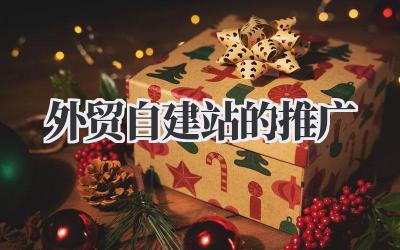 外贸自建站的推广:我的实战分享,让订单飞起来!插图 外贸自建站的推广