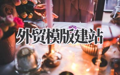 聊聊我的《外贸模版建站》:真没你想得那么简单或复杂插图 外贸模版建站