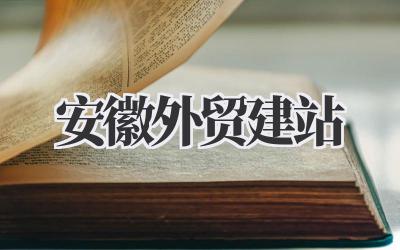 安徽外贸建站插图 安徽外贸建站