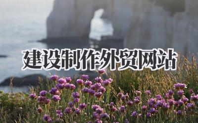 建设制作外贸网站