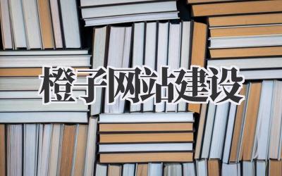 橙子网站建设:我的想法,你也可以参考插图 橙子网站建设