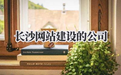 长沙网站建设的公司