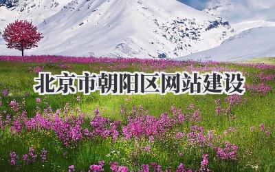 北京市朝阳区网站建设插图 北京市朝阳区网站建设