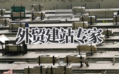 选择专业的外贸建站专家,助力业务腾飞插图 外贸建站专家